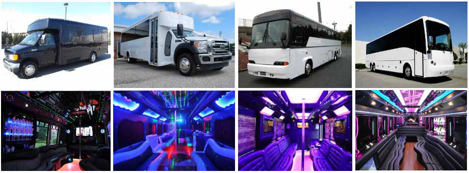 Image result for Party bus rentals