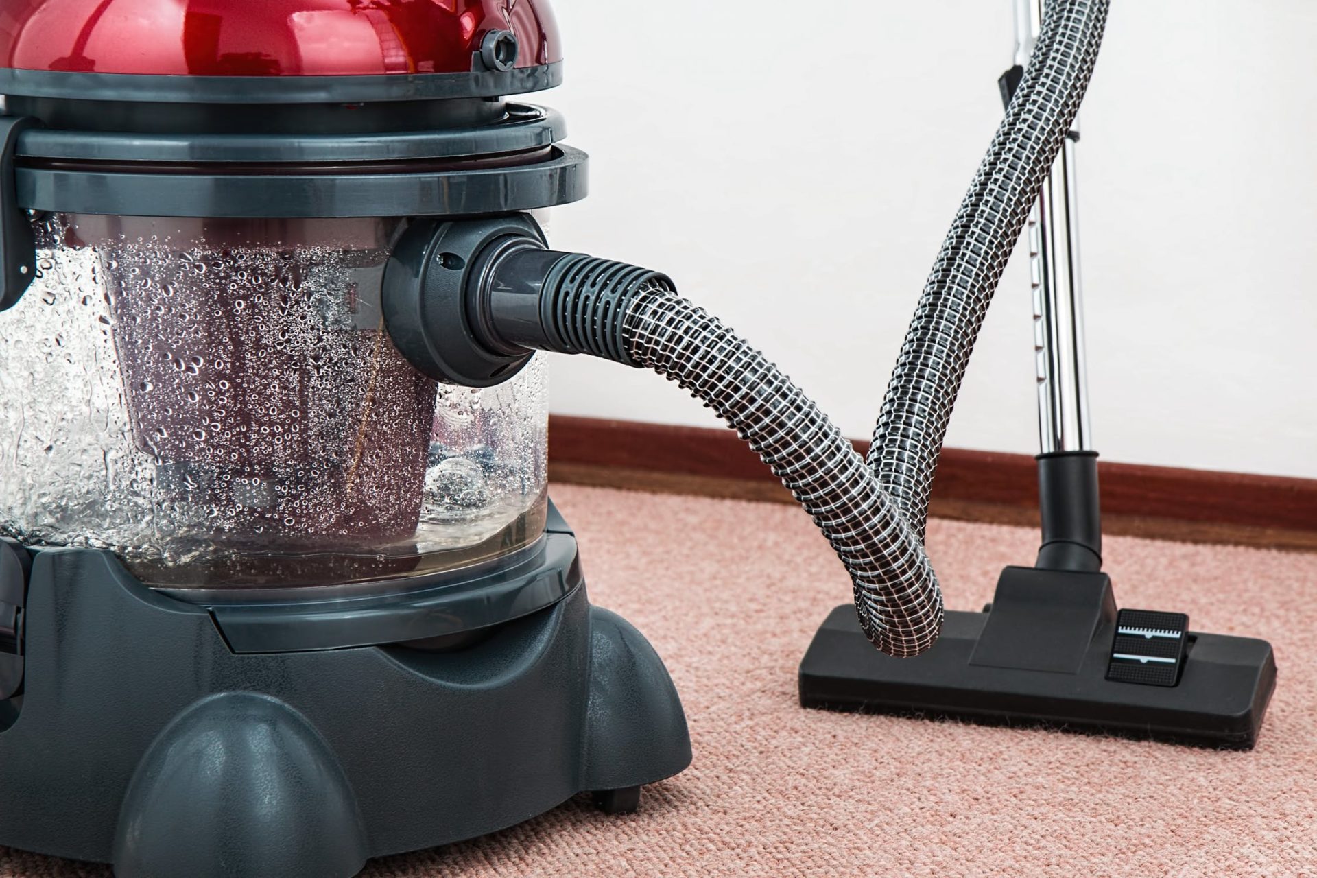 10 DIY Carpet Cleaning Ideas Is It Vivid