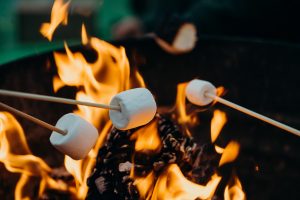 Dishes to cook while camping